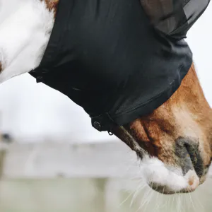 Bilde av Kentucky flue maske slim fit